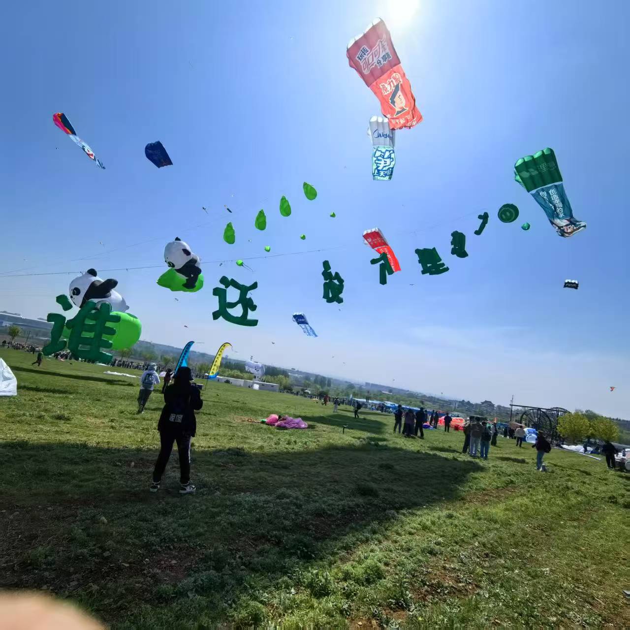 铜川市风筝定制风筝定制 - 哪里好